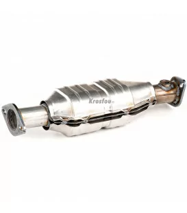 More about Renault R19 1.7i Catalytic Converter